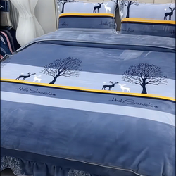 Fleece-Lined Milk Velvet Four-Piece Set 2025 New Winter Thickened Double-Sided Coral Fleece Duvet Cover Bed Flannel Bed Sheet