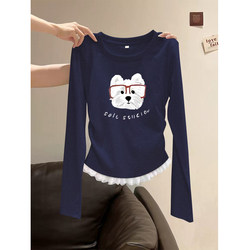 Beautiful Long-Sleeved Chic Top for Women, 2025 Early Autumn New Popular Style, Unique Inner Layer, Very Nice-Looking T-Shirt