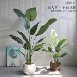 High-End Artificial Green Plants, Fake Plants, Traveler's Banana, Light Luxury Decoration, Indoor Potted Plants, Simulated Bird of Paradise, Living Room Ornaments, Tree