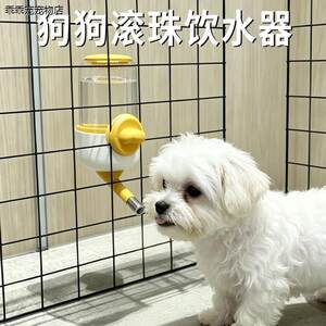 
Dog roller ball water fountain summer pet feeding self-service drinking water non-wet mouth drinking water bottle hanging removable