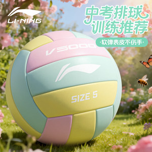 
Li Ning Volleyball High School Entrance Examination Special No. 5 Junior High School Student Physical Education Examination Standard Training Competition Soft and Hard Volleyball