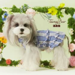 Dog Clothes Spring and Summer Thin Style Schnauzer Teddy Bichon Yorkshire Small and Medium-Sized Dogs Blue Plaid Floral Dress