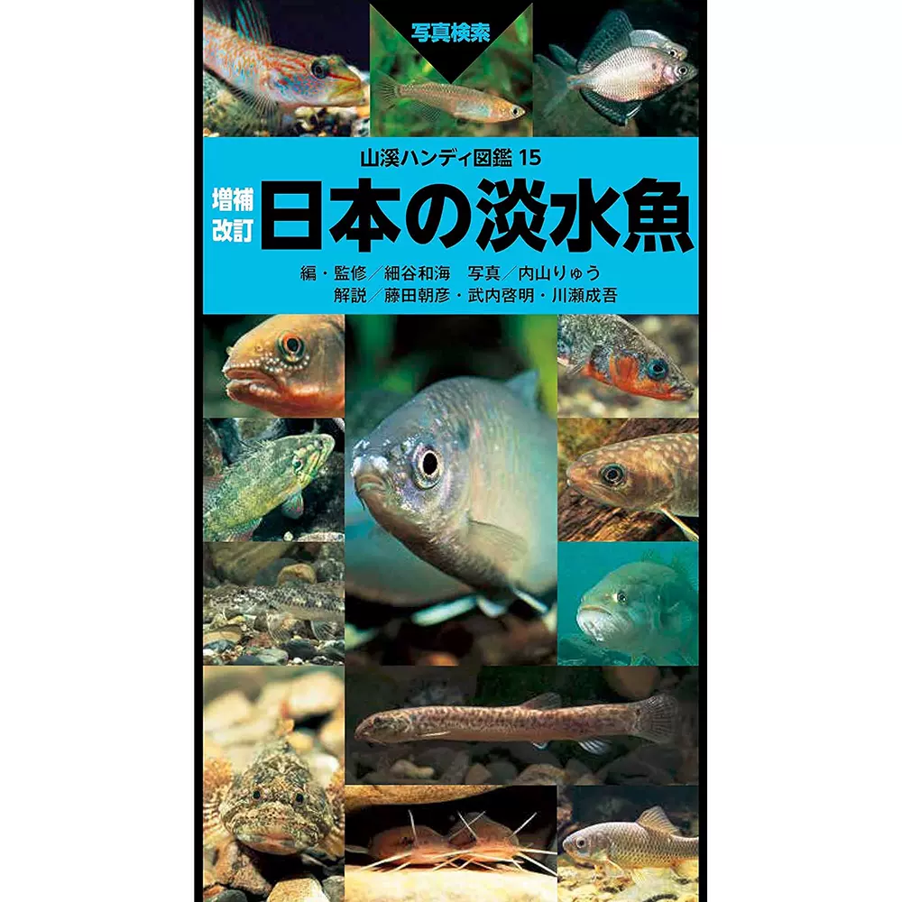 日版日本の淡水魚写真検索原生淡水鱼照片日文书籍-Taobao