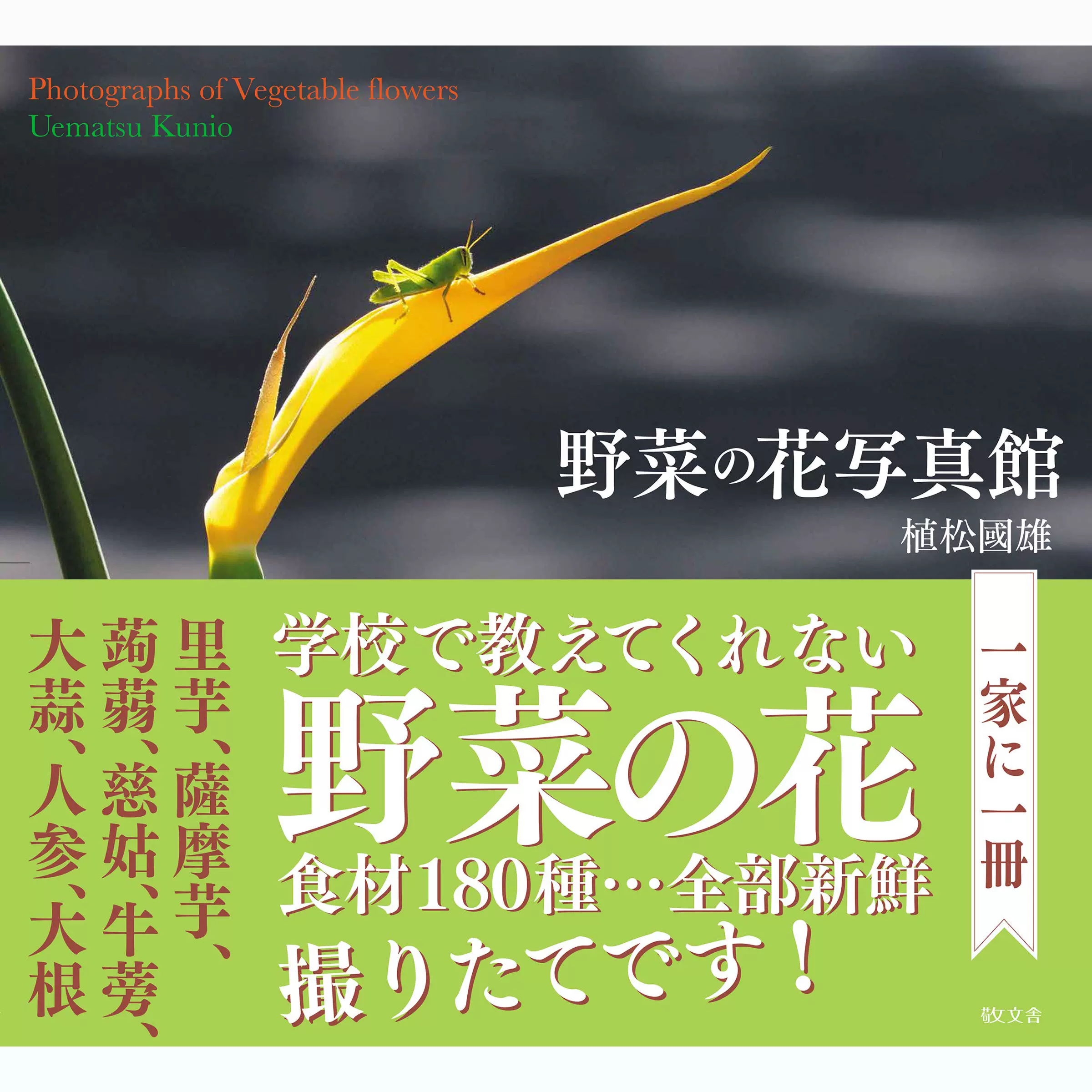 野菜の花写真館植松國雄日本181种野花写真集