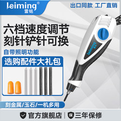 Lei Ming Upgraded Version Small Electric Engraving Pen, Engraving Pen, Metal Stainless Steel Engraving and Marking Woodworking Engraving Machine