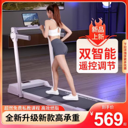 2025 New Model of Small Indoor Fat-Burning and Weight-Loss Treadmill for Home Use, Ultra-Quiet, Foldable, Electric, Gym-Specific