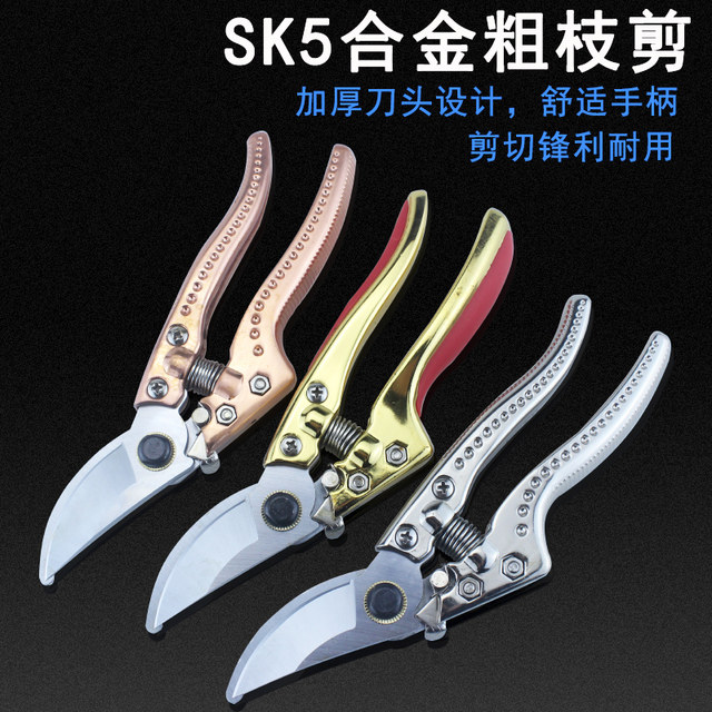 Garden scissors and branches cut gardening tree shear branches and branches of spring tea tree scissors and branches for special flowers large scissors