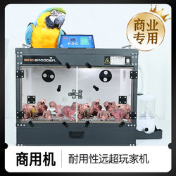 Black-Pointed Incubator with Constant Temperature for Cockatiels, Mallard Ducks, Lovebirds, and Young Birds, Professional Automatic Temperature and Humidity Control, Free Shipping