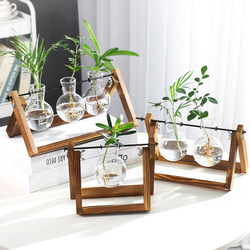 Creative Beaker Hydroponic Vase Office Desktop Ornament Wooden Frame Container Green Radish Plant Glass Vase Decoration