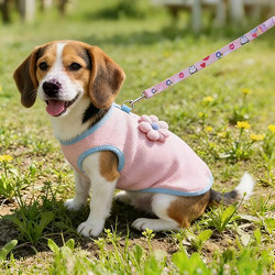 2026 New Spring Dog Clothing, Thin Spring Outfit for Small Dogs, High-Quality and Stylish Vest for Pets