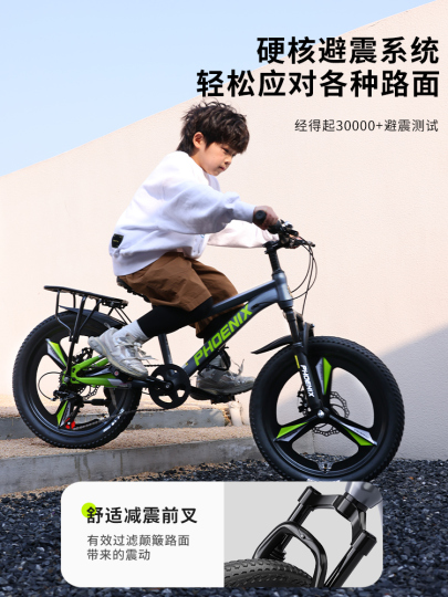 Phoenix 子供用自転車 - 高炭素鋼製マウンテンバイク（男の子