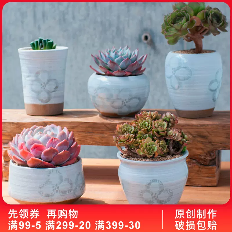 Changp种肉肉花盆多肉植物花盆老桩花盆高盆