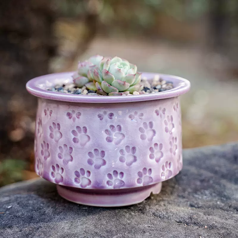 特价手工陶瓷多肉花盆粗陶透气拼盘个性阳台花盆多肉植物