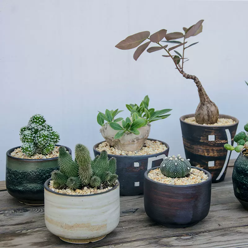 常品多肉植物花盆陶瓷中盆創意流釉花盆日式簡約耐用盆塊根多肉盆 Taobao
