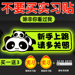 Magnetic Car Stickers for New Drivers in the Internship Period, Creative Female Drivers Magnetic Reflective Funny Car Stickers, Magnetic Signs