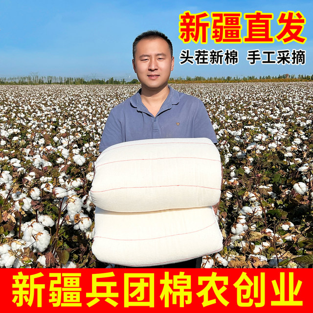 Xinjiang long-staple cotton quilt pure cotton quilt pure cotton quilt core cotton wadding mattress bedding thickened warm student winter quilt