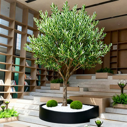 High-End Simulated Olive Tree Potted Plant in Nordic Style for Home Living Room, Office, and Window Display, Floor-Standing Artificial Green Plant Decoration Tree