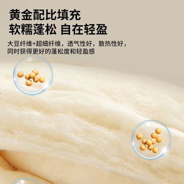 Skin-friendly Soy Fiber Quilt Autumn Quilt Core Winter Quilt Four Seasons Universal Double Thick Warm Quilt