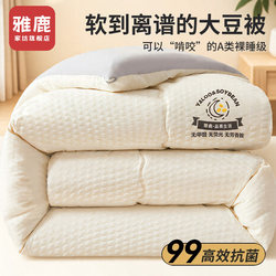 Yalu Soybean Fiber Quilt Core, Single-Person Thickened Winter Quilt, Spring and Autumn Quilt, Cotton Quilt, Air-Conditioning Quilt, Suitable for All Seasons