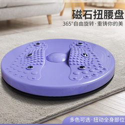 Home Exercise Magnetic Massage Waist Twisting Disc, Abdominal Wheel Fitness Equipment, Fat-Burning Waist Twisting Machine, Yoga Leg-Swinging Machine for Slimming the Belly
