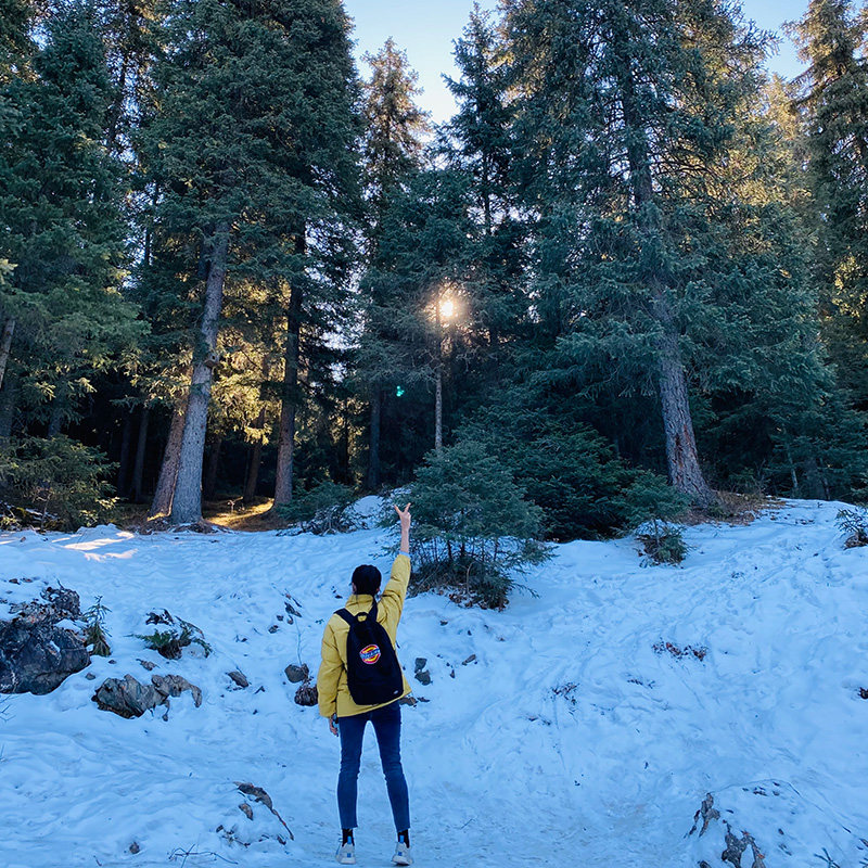 私家小包团/1单1团 新疆冬季乌鲁木齐国际大巴扎天山天池一日游