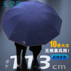 Paradise Umbrella, Extra Large, Thickened and Reinforced, Foldable, Windproof, Storm-Resistant, Dual-Use for Sun and Rain, Large Double Umbrella for School Use