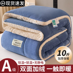 Milk Lamb Wool Blanket, Thickened and Warm, Winter Quilt, Nap Blanket, Sofa Cover Blanket, Quilt Core, Cotton Quilt, Winter Quilt, Spring and Autumn Quilt