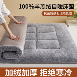 Lamb Wool Mattress Soft Pad for Home Bedroom, Milk Velvet Mattress, Bedding Pad, Special Pad for Rental Housing, Winter
