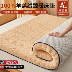 Lamb's Wool Mattress Cushion Home Bedroom Winter Milk Velvet Thickeneded Warm Bed Mattress Rental Special Quilt a