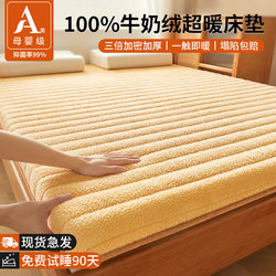 Winter Thickened Mattress Pad, Soft and Warm, Milk Velvet, Home Bedroom Mat, Student Dormitory Single-Person Special Mattress