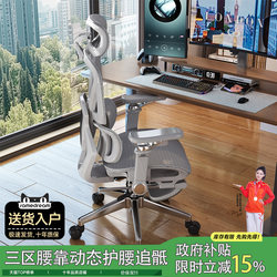 Ergonomic Chair, Home Computer Chair, Comfortable for Long Sitting, Waist-Protecting Gaming Chair, Reclining Office Chair, Backrest Desk Chair