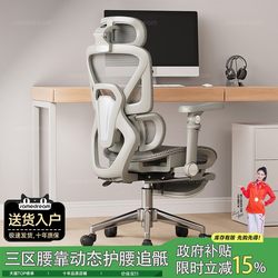 Ergonomic Chair, Home Computer Chair, Comfortable for Long Sitting, Waist-Protecting Gaming Chair, Reclining Office Chair, Backrest Desk Chair