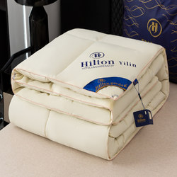 Five-Star Hotel Winter Thickened Warm Feather Duvet 4kg Quilt Core Spring and Autumn Quilt Winter Quilt Double Bed 5kg