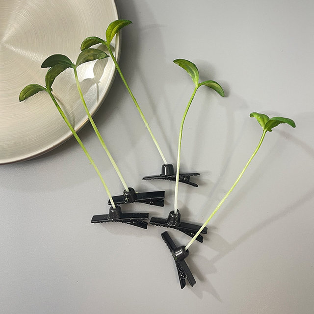 Creative, fresh, cute and funny simulated three-dimensional grass bean sprouts with grass growing on children's heads for sale sprouting hair clips on the top of the head