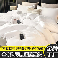 Hotel-Specific Quilt Core, Feather Velvet, Anti-Feather Fabric, Suitable for All Seasons, Thickened for Winter Warmth, Air-Conditioning Quilt, Spring and Autumn Quilt