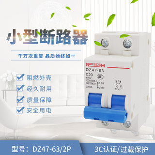 Rmscsh 2P 16A Circuit Breaker - Household Electrical Protection