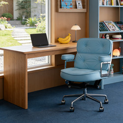 Home Computer Chair, Robin Chair, Comfortable for Long Sitting, Study Desk Chair, Light Luxury Office Swivel Chair, Leisure Single Sofa Chair