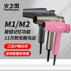 Fire Phoenix Hair Dryer M1, Specially Designed for Barbershops, Hairstylists, and Hair Salons, High-Power Negative Ion High-Speed M2Plus