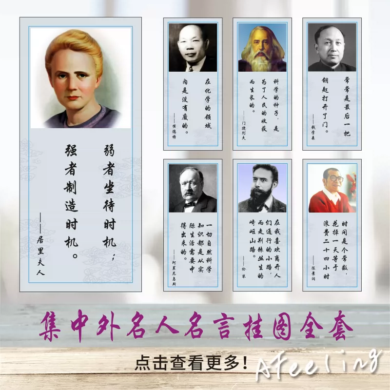 中外科学家画像名言教室海报校园化学物理生物实验室挂图y33