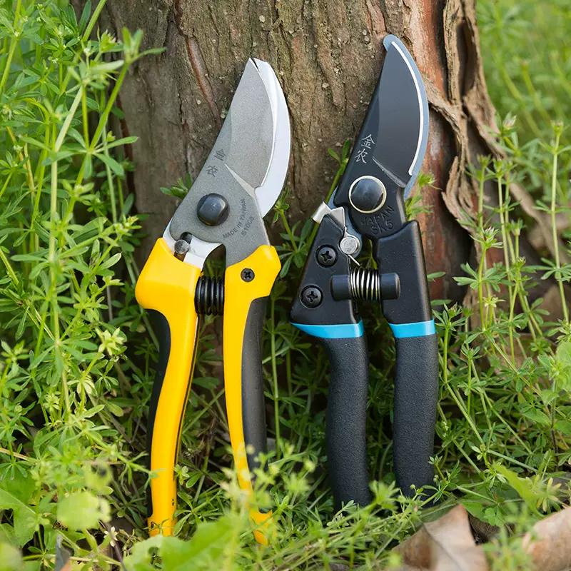 锋利修花修枝剪刀园林工具果树剪子花剪修剪树枝园艺粗