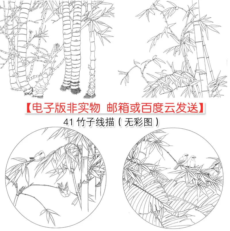 国画工笔竹子白描41幅电子版高清线描学习临摹素材源文件-Taobao