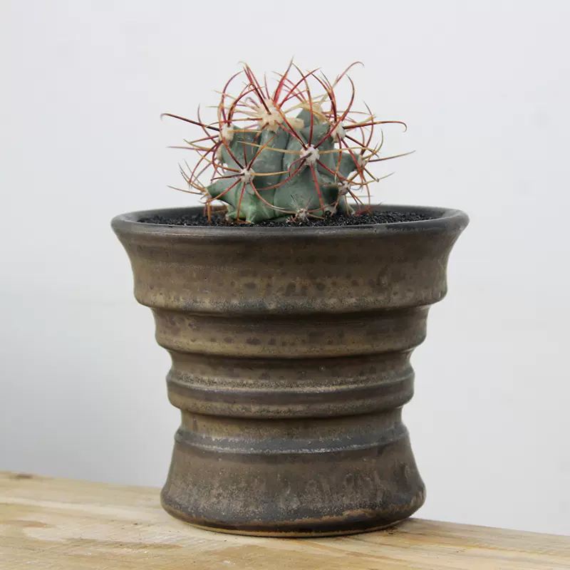 泥泥塊根植物花盆日式金屬釉潮流盆龍舌蘭象牙宮復古塊根陶瓷花盆 Taobao