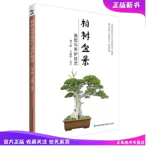 松柏盆景艺术- Top 100件松柏盆景艺术- 2024年3月更新- Taobao