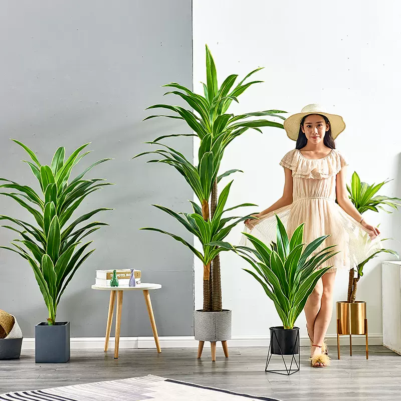 北欧风ins网红大型仿真巴西木室内植物盆栽客厅摆设装饰落地