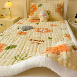 Winter Milk Velvet Mattress Thickened for Student Dormitory Bed Mattress Pad Coral Velvet Bed Cover Plus Fleece Blanket Non-Slip Mat Quilt