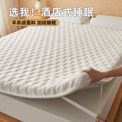 Winter Thickened Milk Velvet Mattress for Home Use, Tatami Bed Mattress, Warm Student Dormitory Single Mattress, Soft Mattress