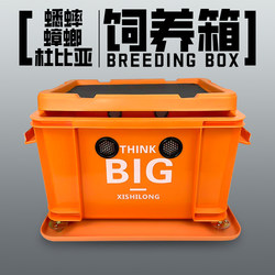 Cockroach and Dubia Breeding Box, Reptile Pet White Cricket Breeding Box, Needlehead Cricket Breeding Box, Oil Turtle Feed