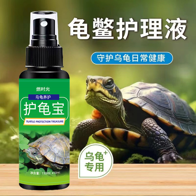 Turtle Protector All-Purpose Turtle Protector Brazilian Turtle Turtle ...