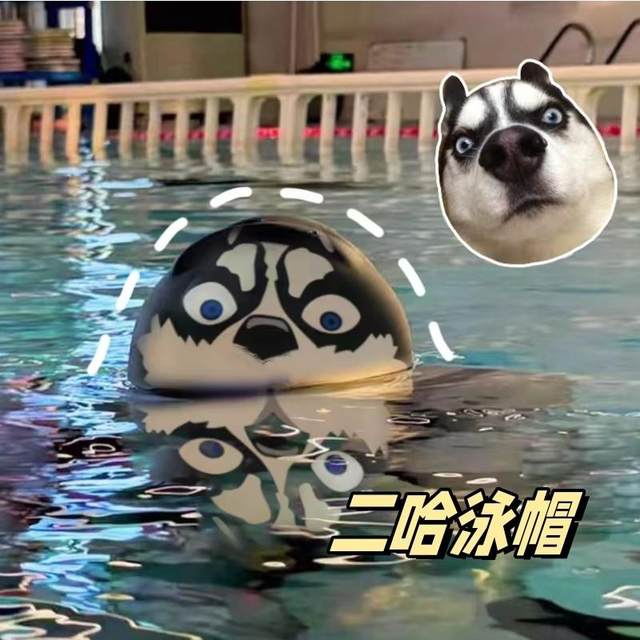 Husky Swimming Hat Men's Common Adult Boxitou High Blaze Erhacao Funny Pingu Penguin Swimming Hat
