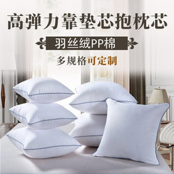 Pillow Core Sofa Cushion 40 45 50 55 60 65 70 Square Feather Velvet Cushion Core Wedding Cushion